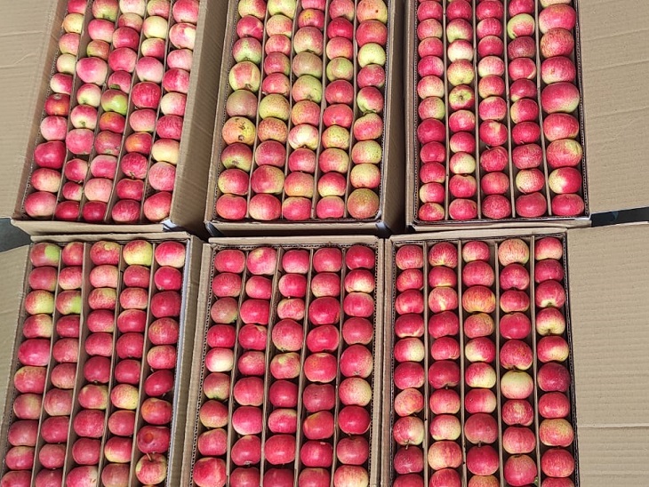 भट्टाकुफर मंडी में बेचने को लाया गया सेब