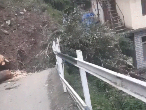 शिमला के समिट्री-गाहन में लैंडस्लाइड, आधा दर्जन देवदार के पेड़ गिरने से तबाही