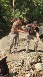 King Cobra’s rare sighting sends shockwaves