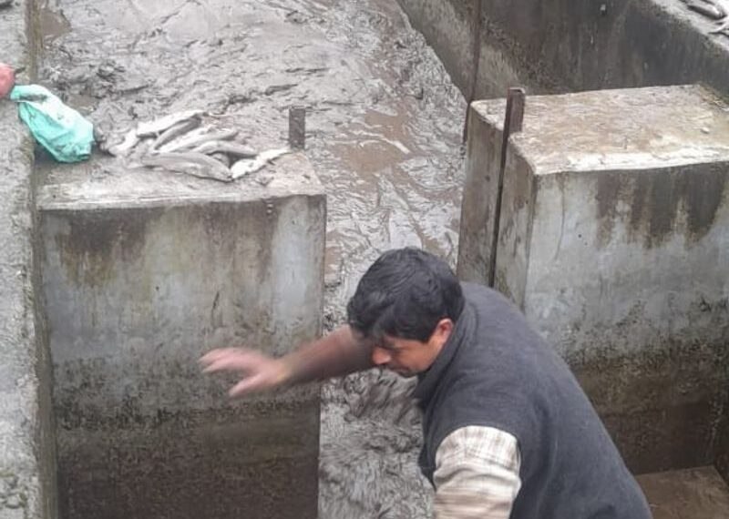 Flash floods damage trout farms