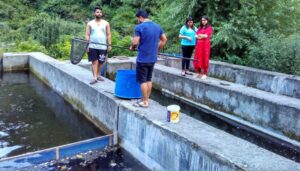 Fisheries Dept assures support to trout farmers amid…