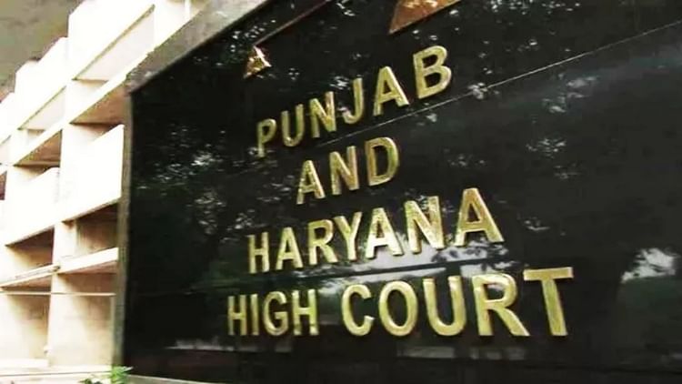 Stick Is Support Of Elderly It Cannot Be Considered A Weapon Punjab Haryana High Court - Chandigarh News